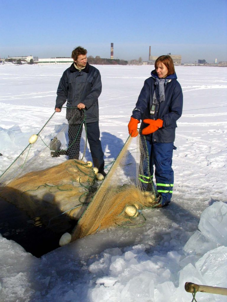 vårdfiske